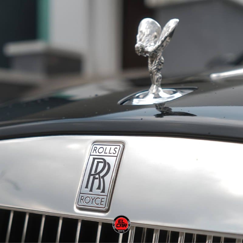 a1104125-fe32-47d5-9ae4-343a3d8176f1