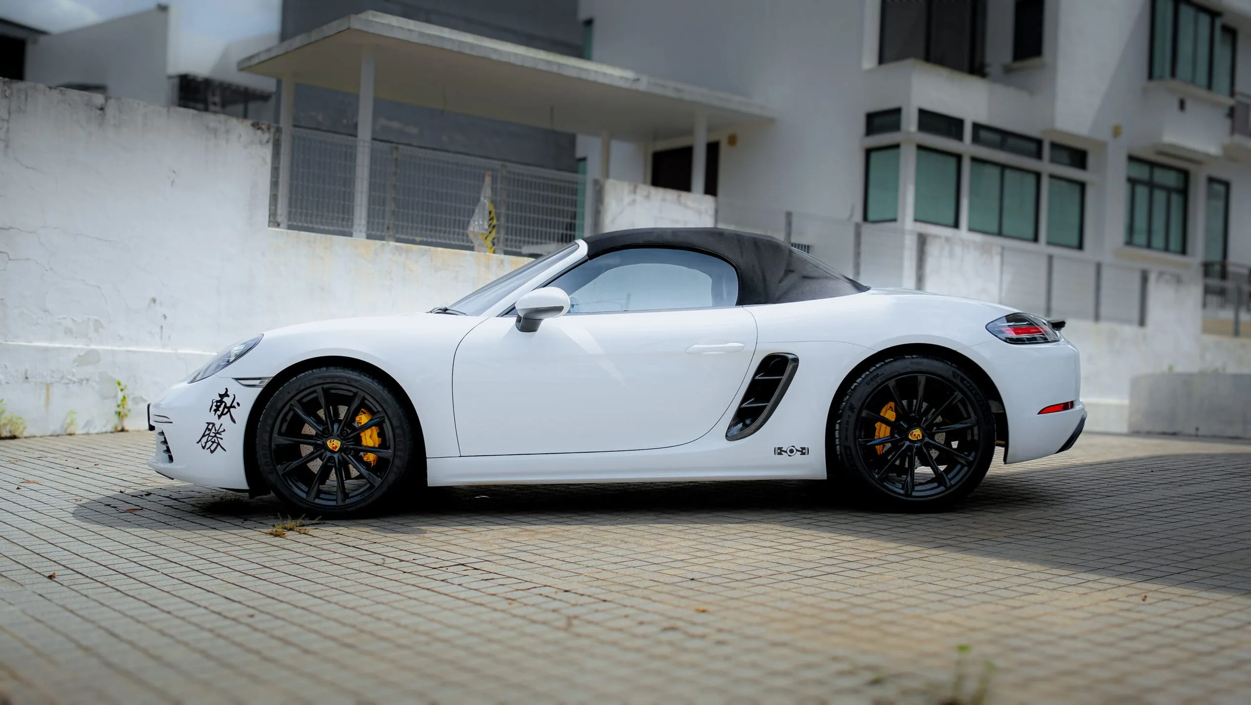 8d0eff24-22cf-4907-a20f-9954a9495041