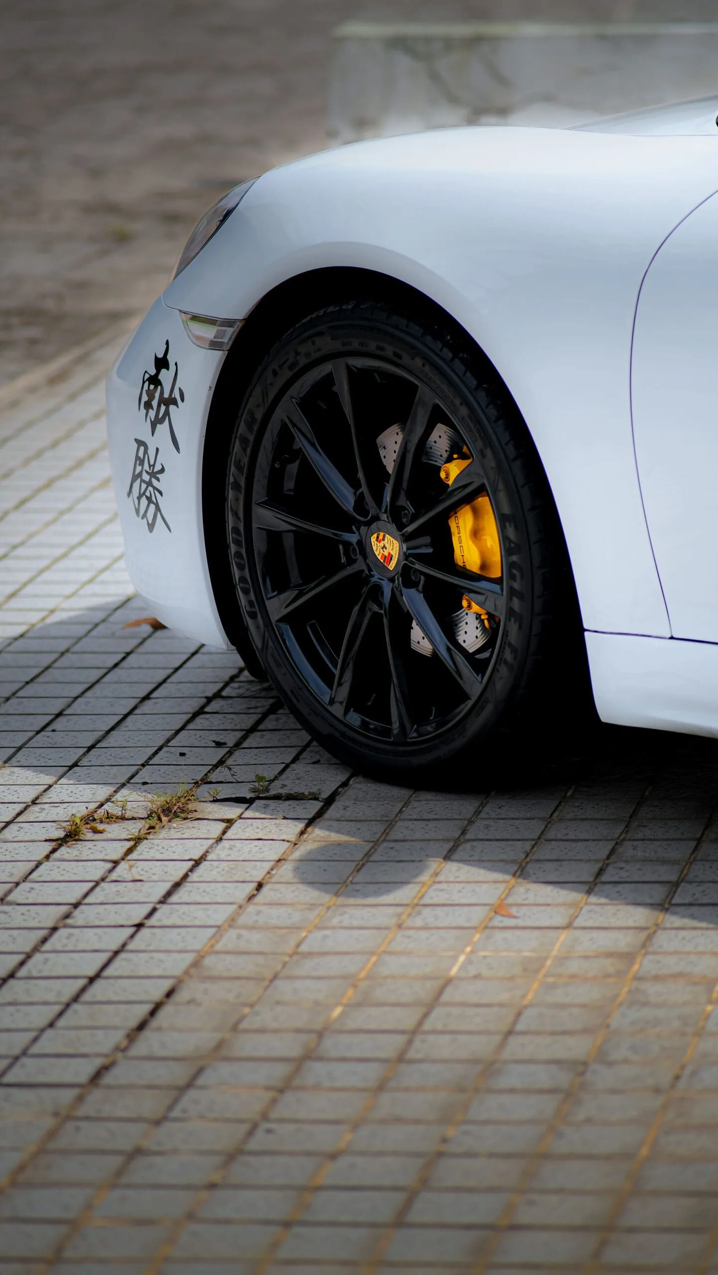 980f5538-43f0-4e29-ae26-64fde21041db