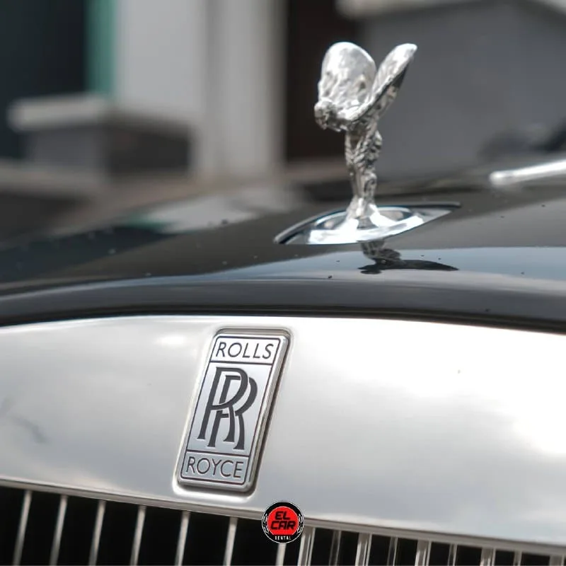 a1104125-fe32-47d5-9ae4-343a3d8176f1